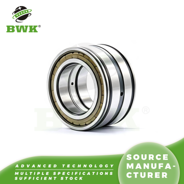 SL Full Complement Cylindrical Roller Bearings