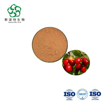 Dogwood Extract Cornus officinalis extract powder