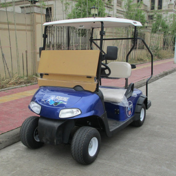 2 seaters gas golf carts for sale