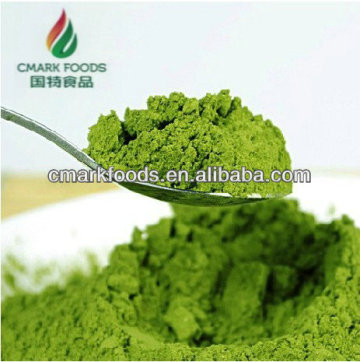 export Dehydrated Young Barley Leaves Powder