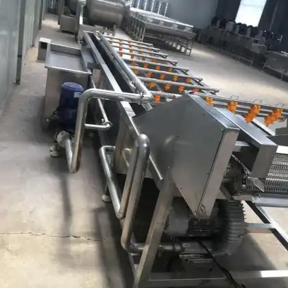 Vegetable and Fruit Cleaning Machine