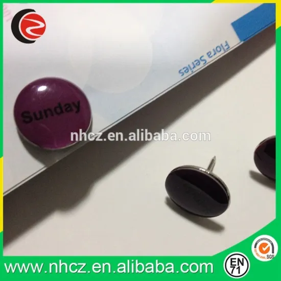 Sunday Shaped Customs Push Pin