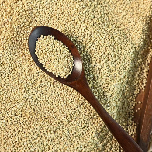 صادرات کینوا سفید بدون باقی مانده