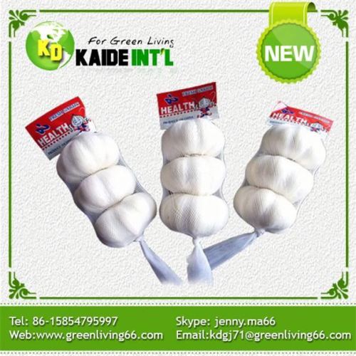 Premium standar kualitas ekspor putih bawang putih alami