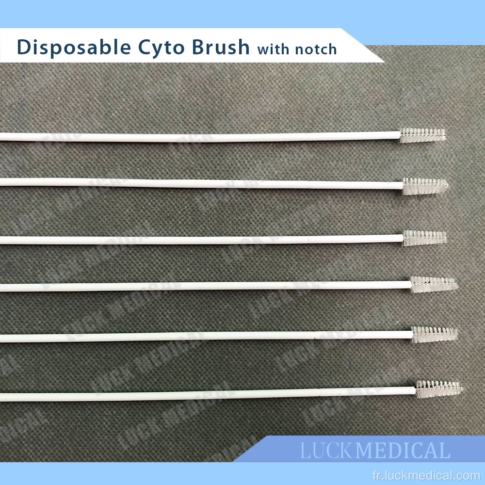 Cyto-brosse jetable avec encoche