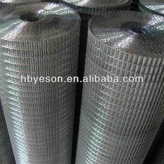 galvanized iron and ss welded mesh wire mesh fence