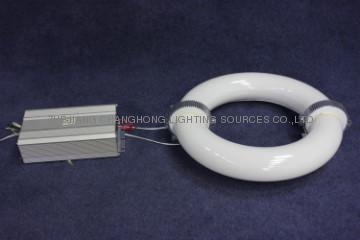 CHANGHONG 100W circle induction lights
