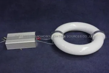 CHANGHONG 300W circular induction lamp