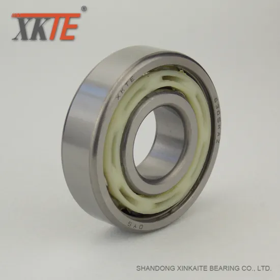 Bearing For Bulk Material Processing Conveyor Idler