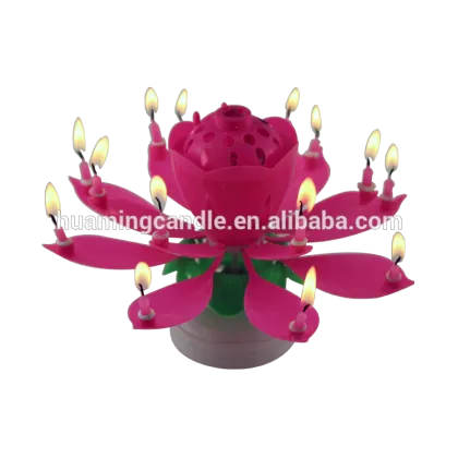 Flower Birthday Musical cake Candle