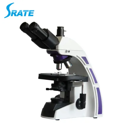 1600X Binocular Biological Laboratory Microscope for Research