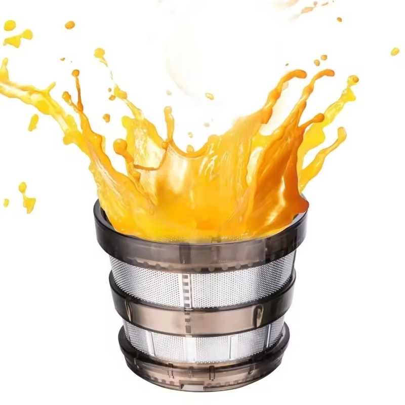 Fruit Slow Juicer Extractor
