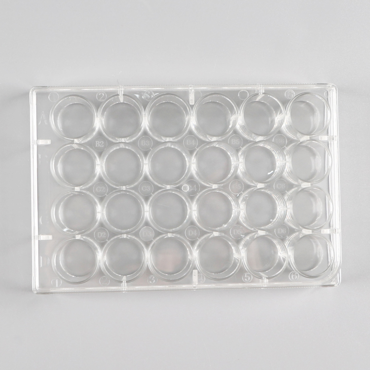 24 Well Cell Culture Plate