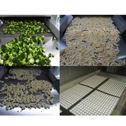 Small iqf tunnel blast freezer cryogenic tunnel freezer