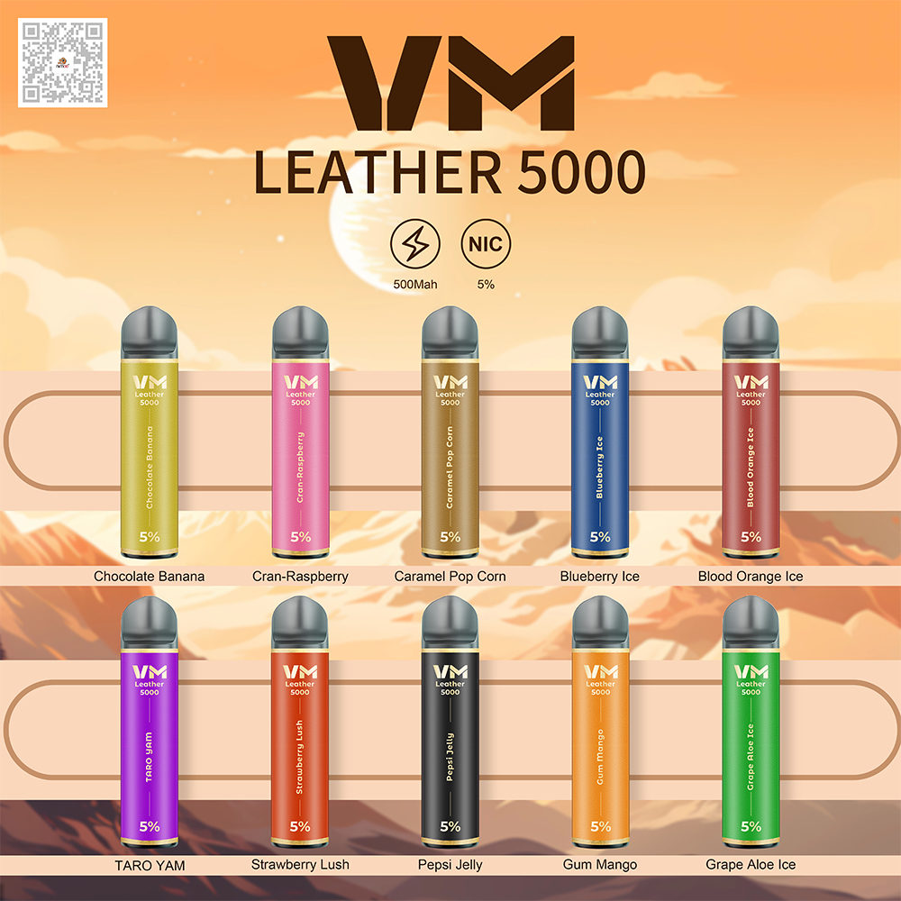 Leather Electronic cigarette 5000