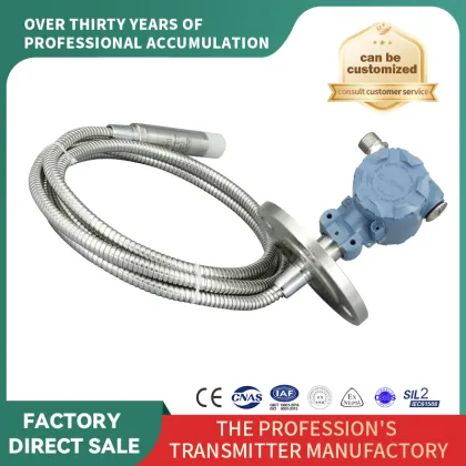 Level Transmitter: Flange Hose Type Input Level Gauge