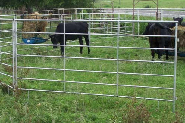 Installed Cattle Yards Cattle Fence Panel