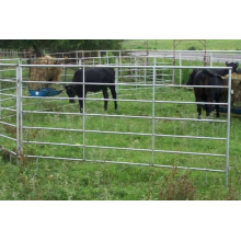 Installed Cattle Yards Cattle Fence Panel