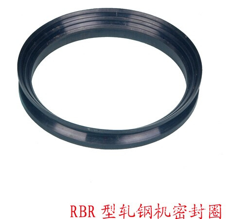 Rbr Seal Ring For Rolling Machine, High Quality Rbr Seal Ring For ...