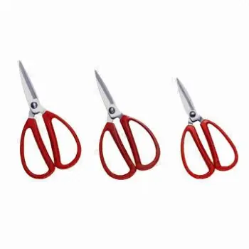 Family Scissors with Size of 6-inch