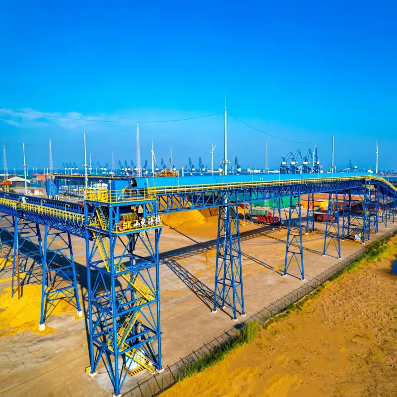 High-Performance Long-Distance Belt Conveyor for Port Bulk Cargo Transport