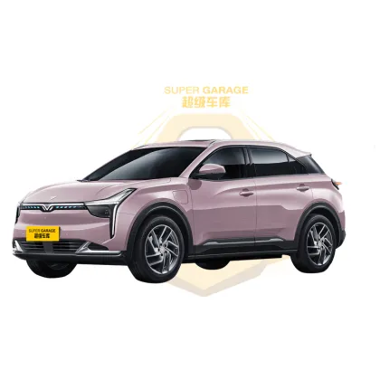 Neta U Pro Neta U-II Electric Car