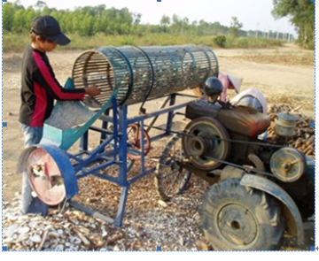 Cassava Peeling and Slicing Machine
