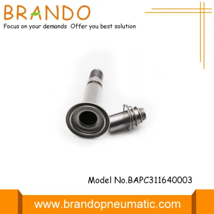 Automobile Solenoid Valve Armature Auto Spare Parts