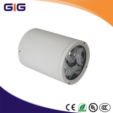 IP65 LED down light
