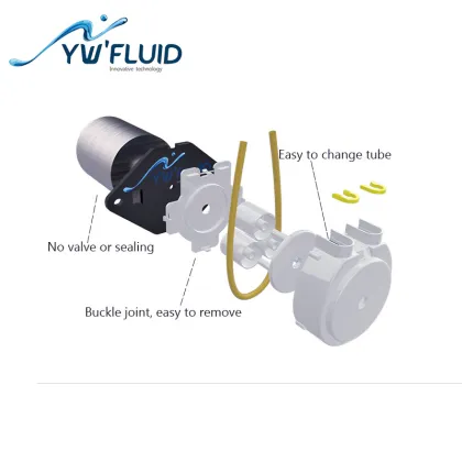 12V/24V self-priming peristaltic Pump