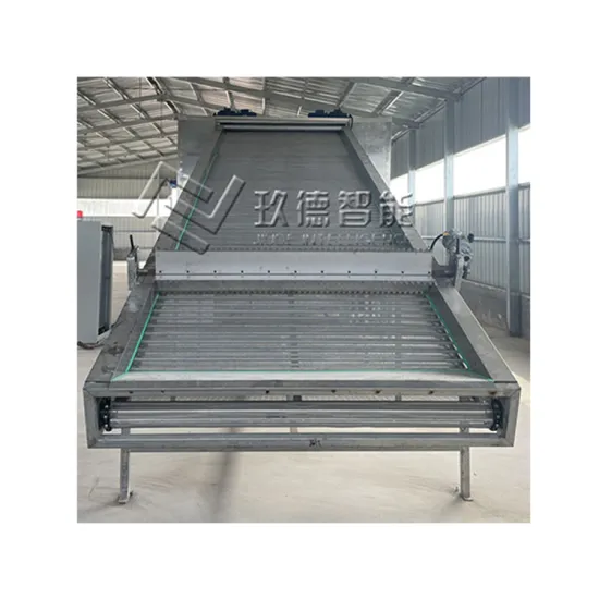 Hot Air Circulation Belt Dryer for Vegetable Drying