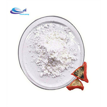 Pure Coconut Protein Powder for Baking Food