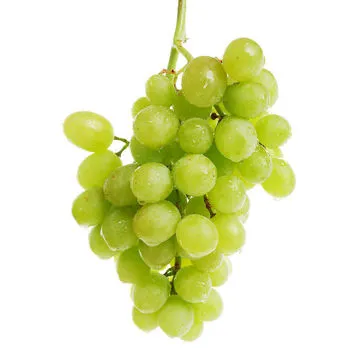 Imported fruit by Hansen import and export agency services