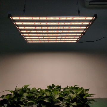Samsung LM301B 640W Grow Lamp สำหรับเรือนกระจก