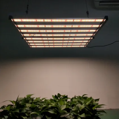 Samsung Horticultural Led Lights 640w for Plant