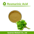 Lemon balsemextract rosmarinezuurpoeder 2% -10% HPLC