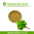 Zitronenbalsamextrakt Rosmarinsäurepulver 2% -10% HPLC