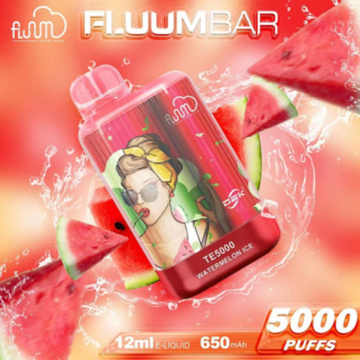 Fluum Bar TE5000 Near Me Wholesale