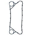 Замените Polaris Phe Gasket S120