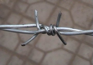 Galvanized Barbed Wire for fence