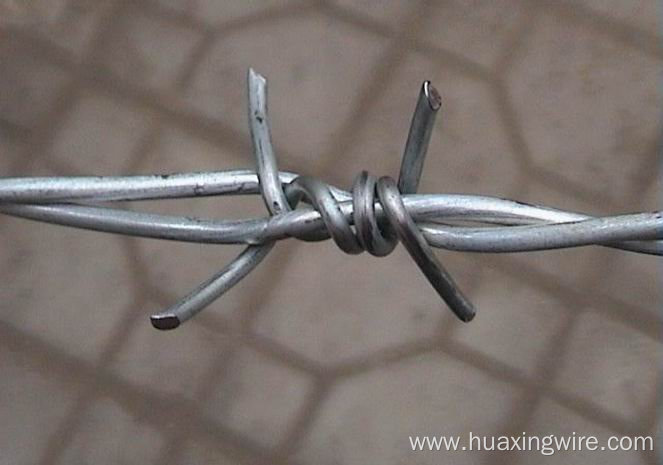 Galvanized Barbed Wire for fence