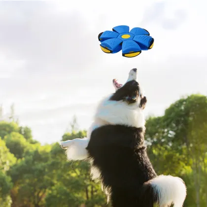 Colorful Light Flying Saucer Ball: Latest Interactive Dog Toy