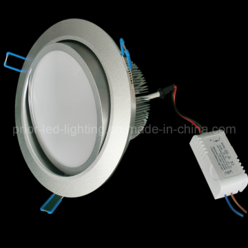 Warm White LED Ceiling Light/Ceiling Lighting (pr-d6''15W-pw)