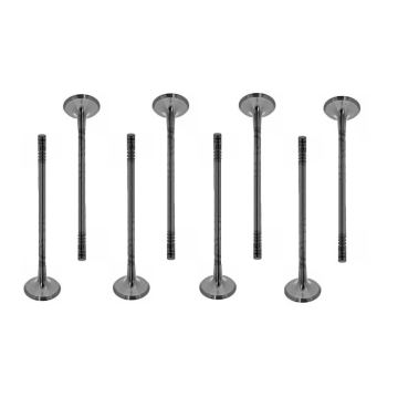 55558728 Exhaust Valve for Engine