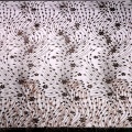 /msite/products/detail/productid/57383345/id/668796.html