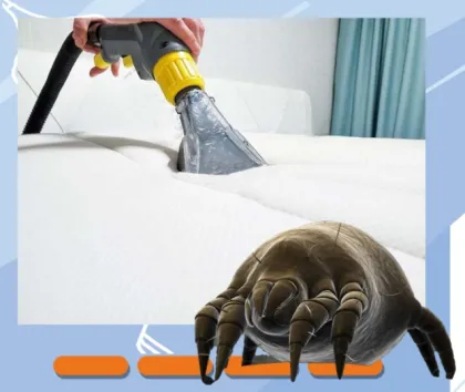 Home Steam Cleaning Machine for Sofas, Carpets, and Air Conditioners