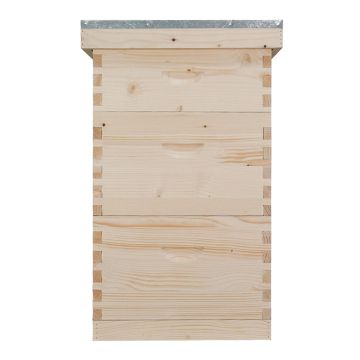 10 Frame Langstroth Beehive