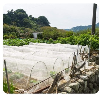 OEM Hot Sale HDPE Greenhouse แมลงตาข่ายตาข่ายผ้าตาข่ายสำหรับการคุ้มครองการเกษตร