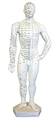 51cm acupuncture and moxibustion person