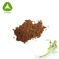 Organic ISO9001 Capsule Celery Seed Extract Powder 10:1